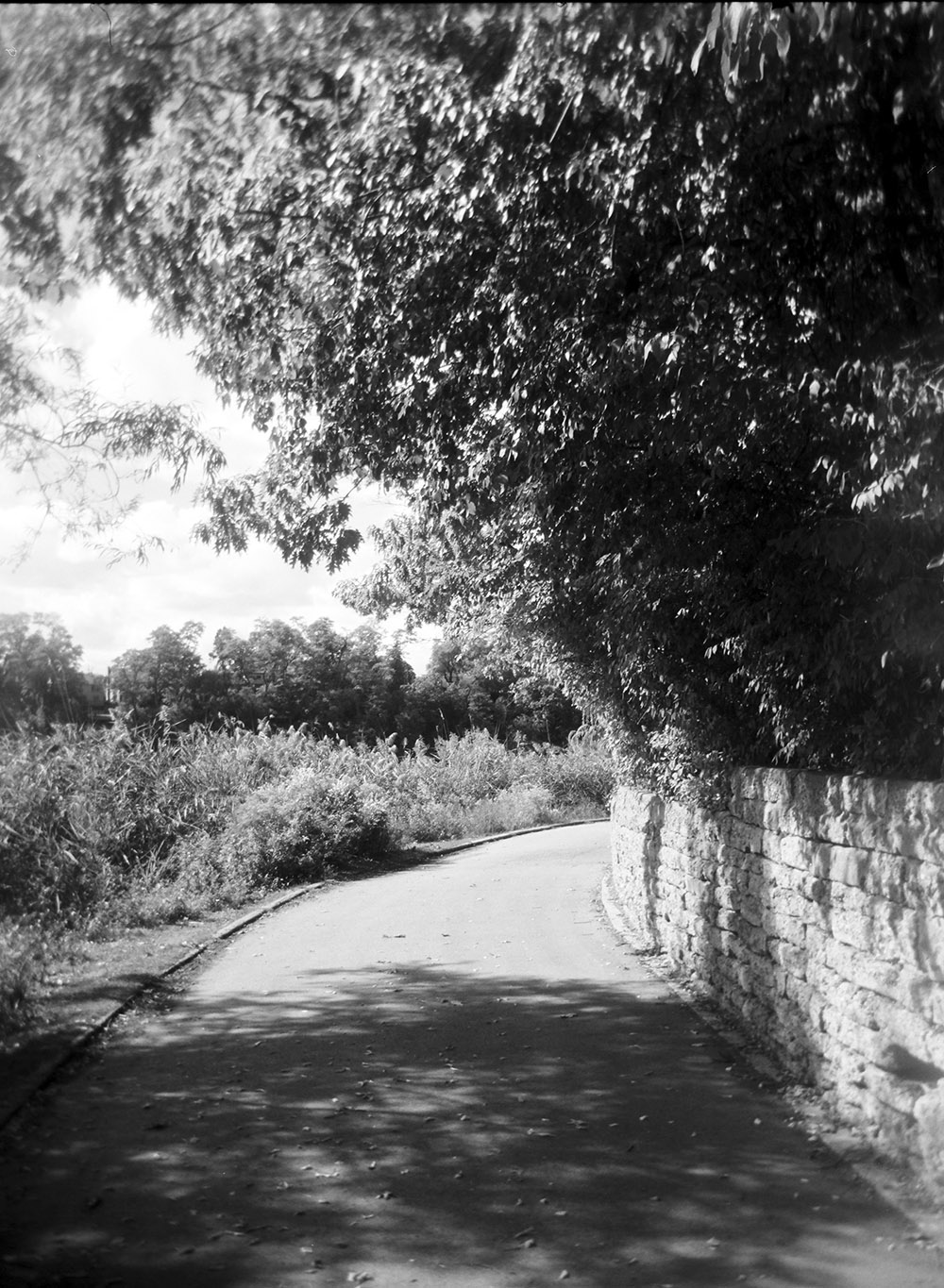 Path around Grenadier Pond