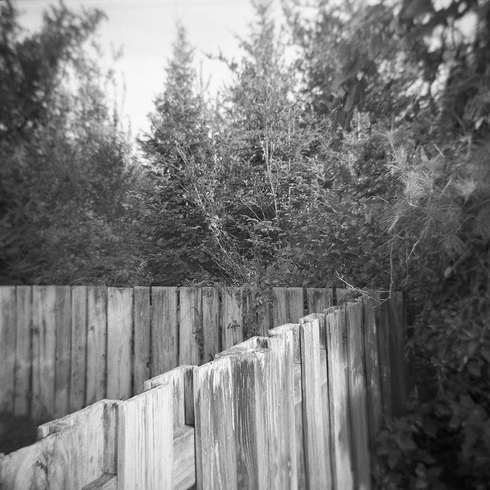 Fence