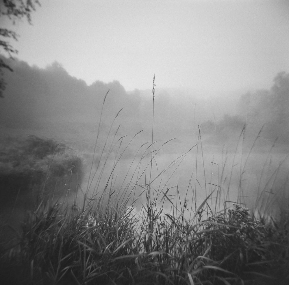 Misty morning at the pond