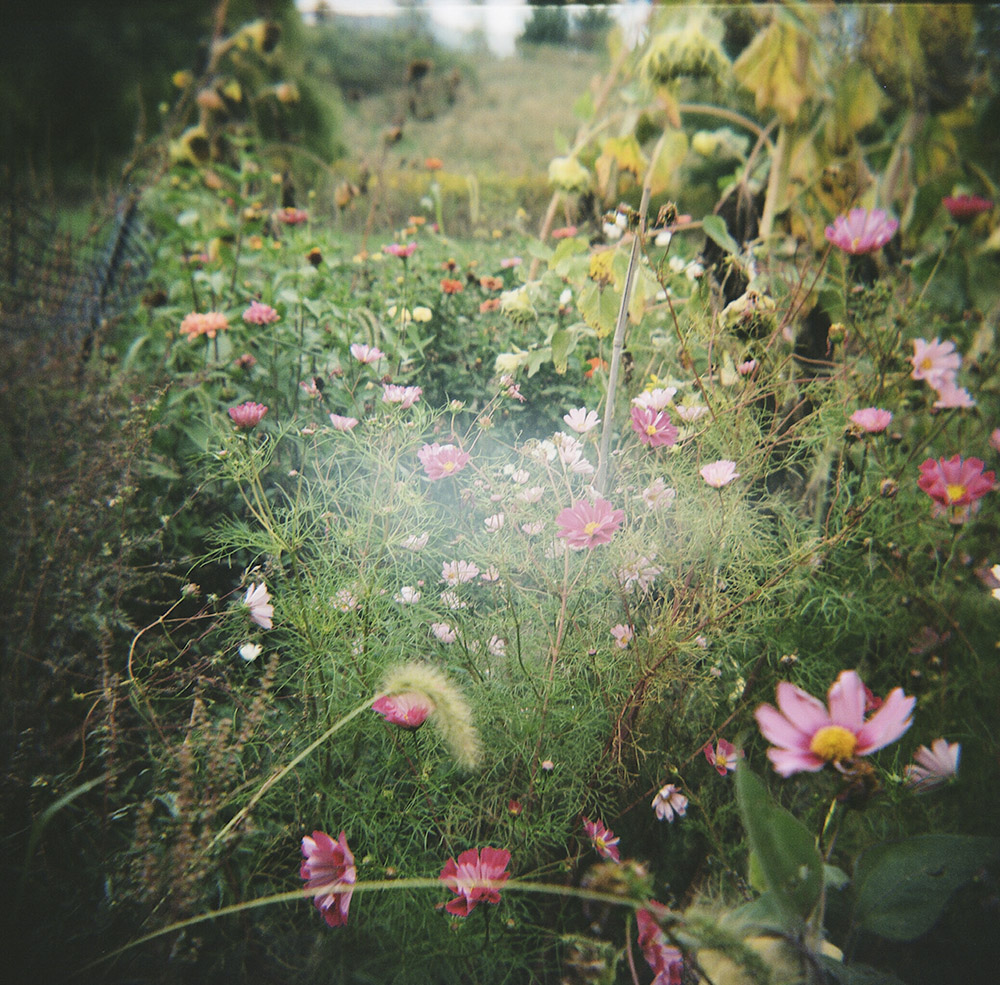 Ghost in the flowers