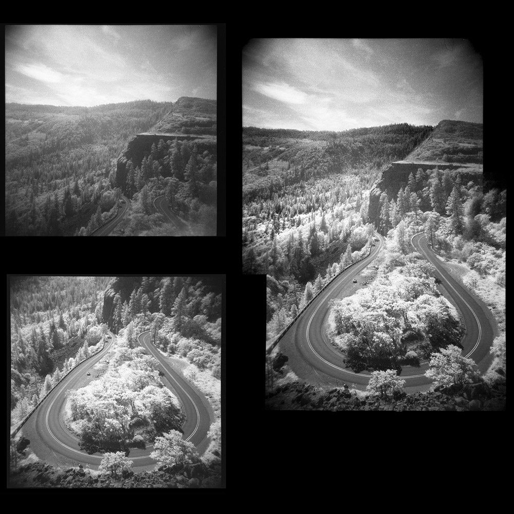 Rowena Crest Diptych