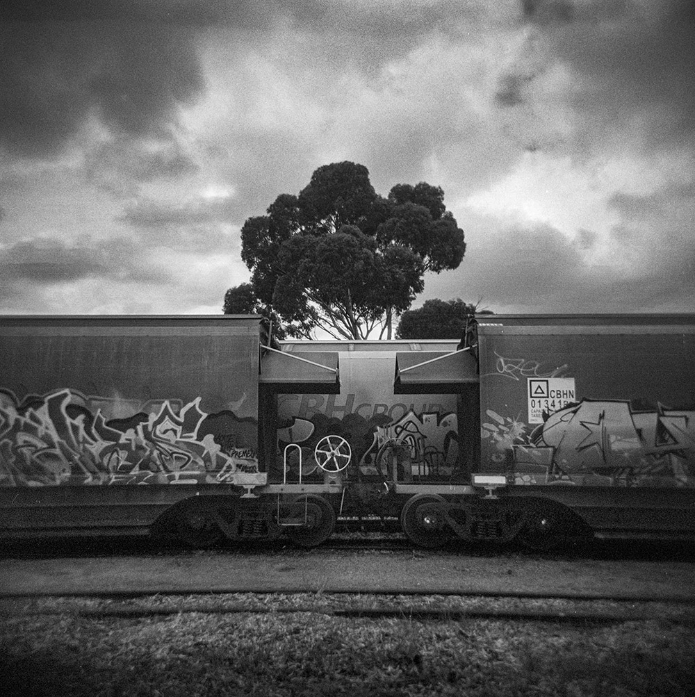 Train and the Tree