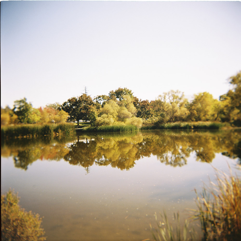 Autumn reflections