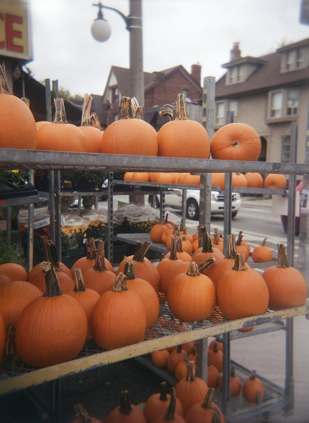 Pumpkins