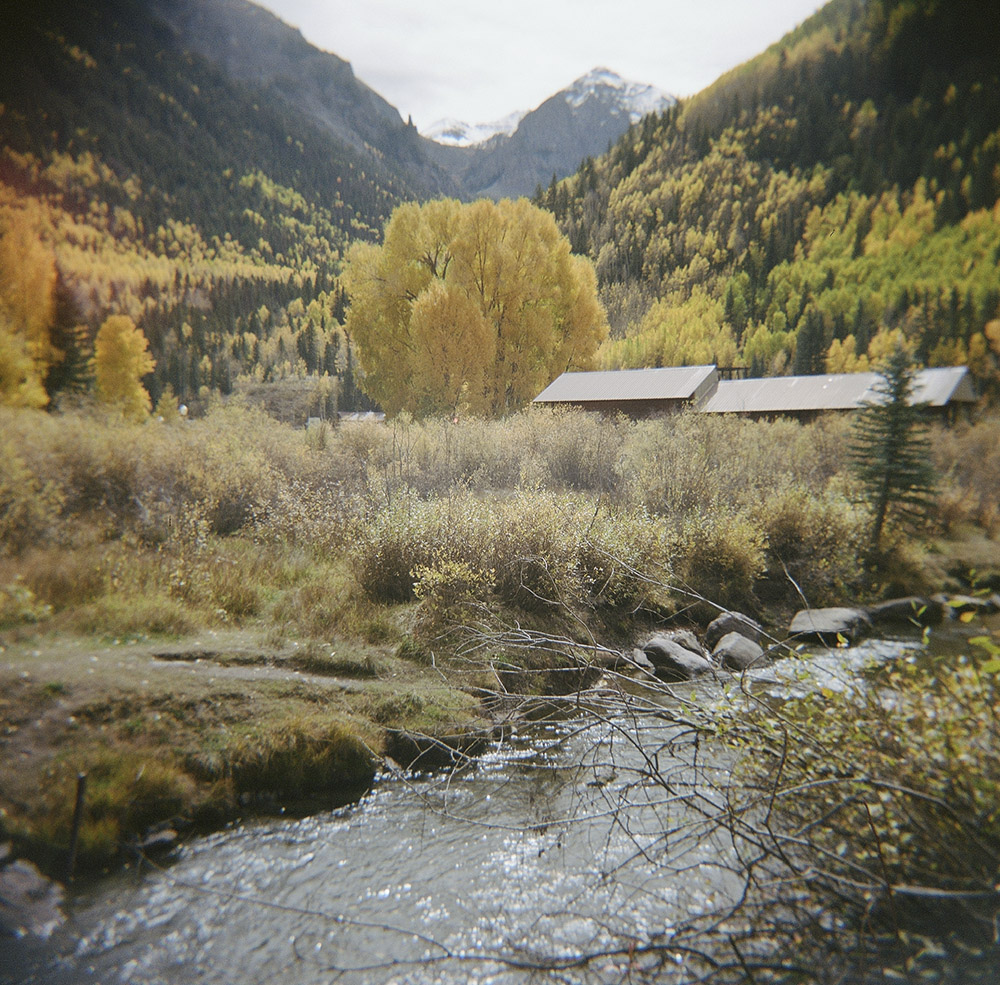 Fall Foliage at Elevation 10,000