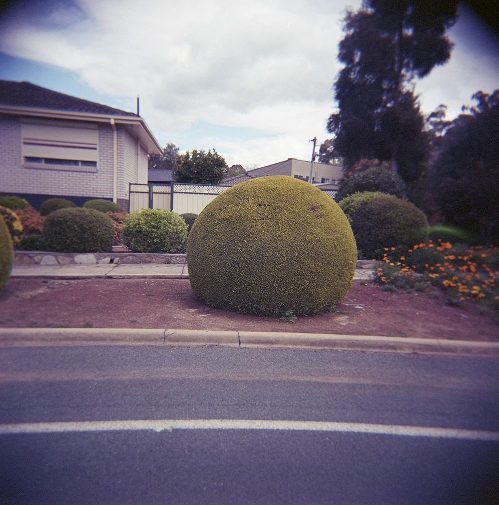 Best green thumb in the neighbourhood