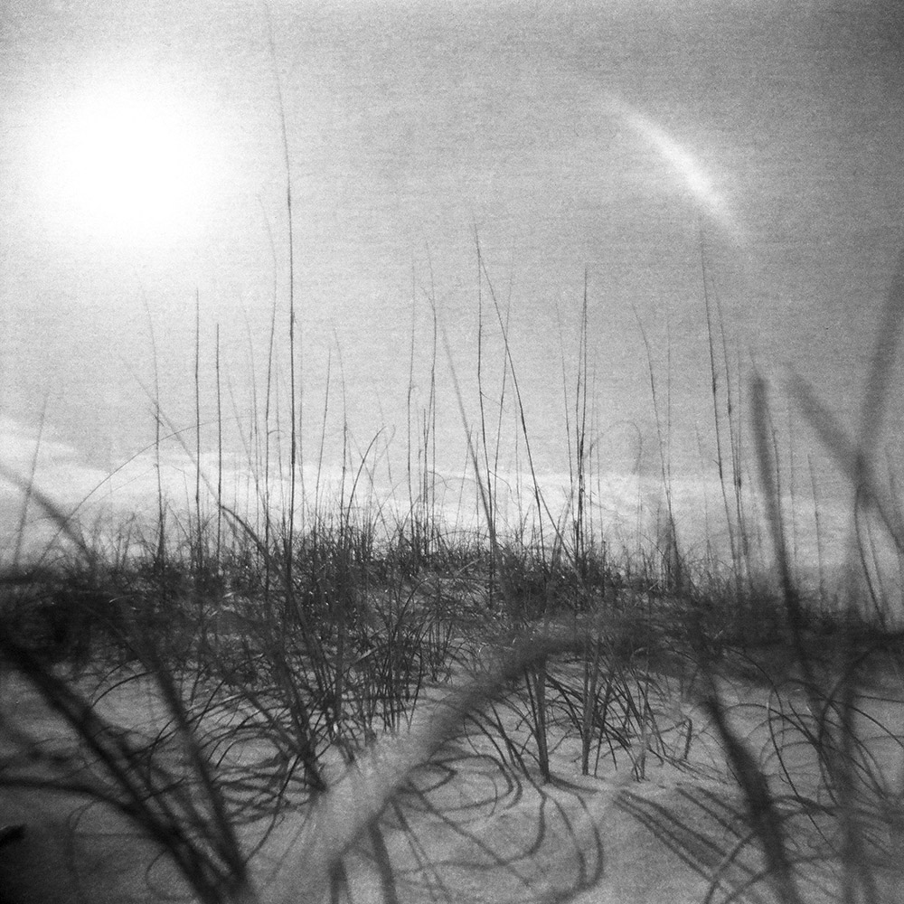 Sea Oats and Sun