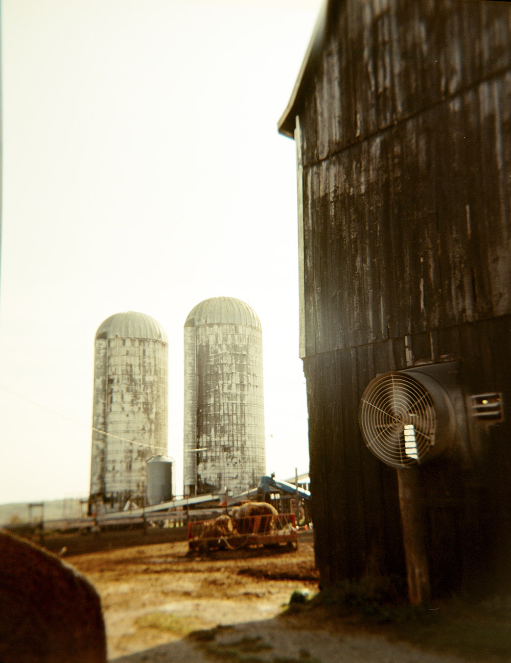 The silo twins