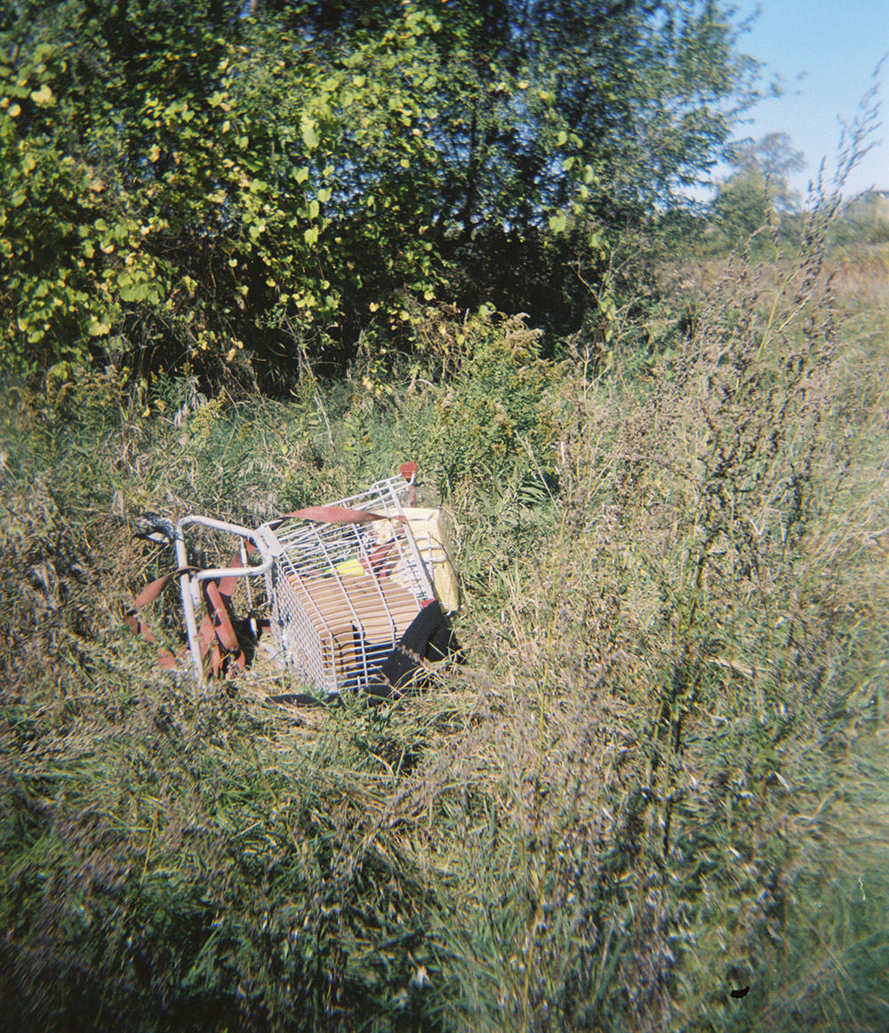 Abandoned cart in the bushes