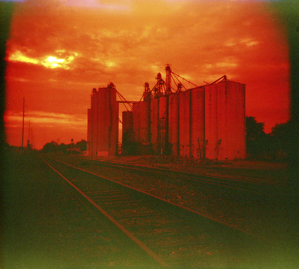 Amber Waves of Grain