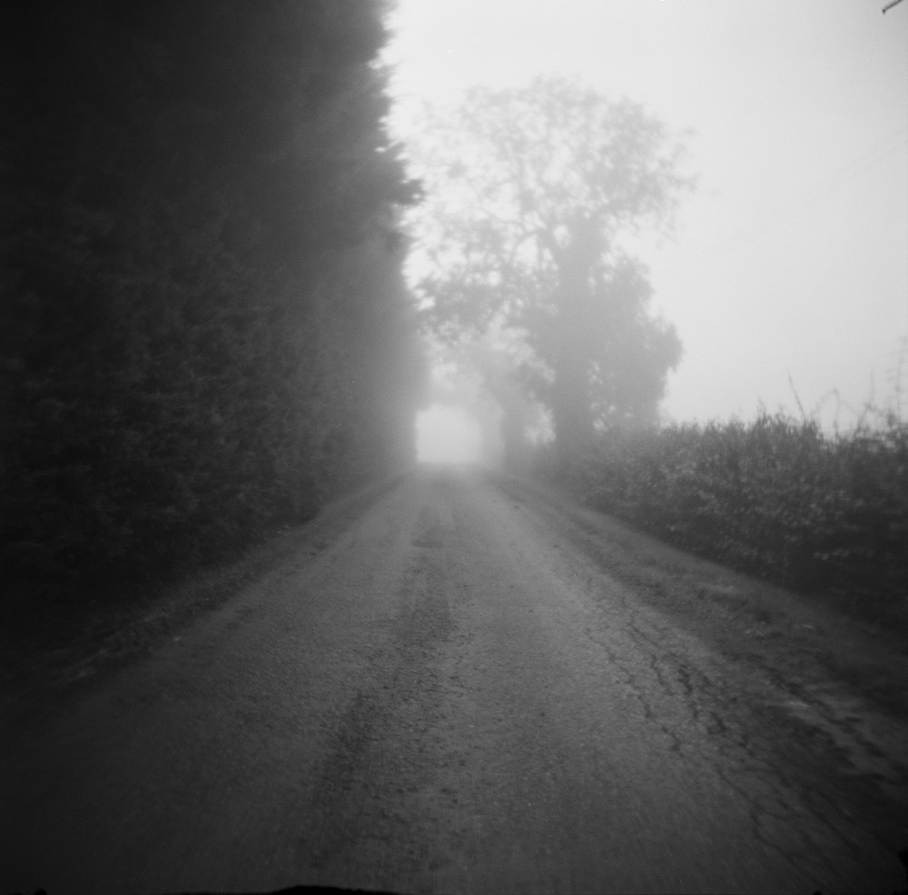 Farm Road Fog 