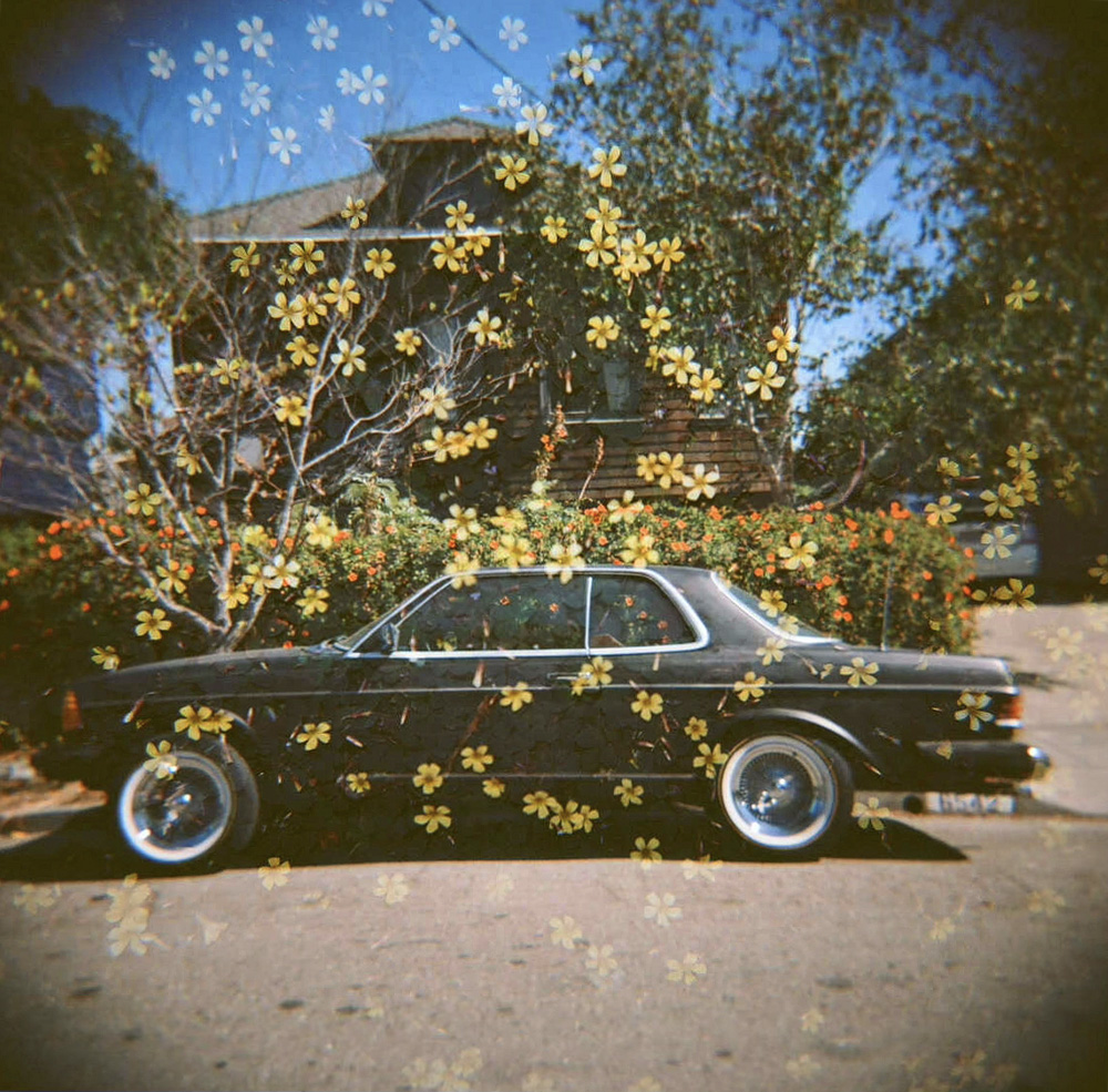 Holga paint job