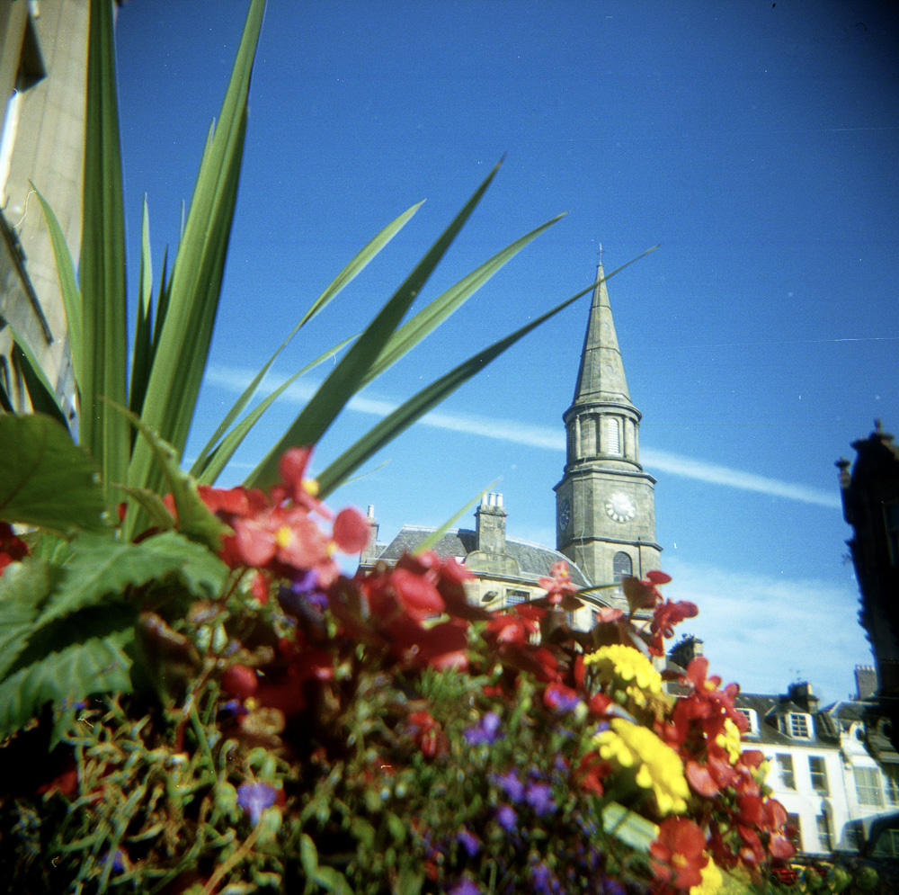 Steeple and Flowers