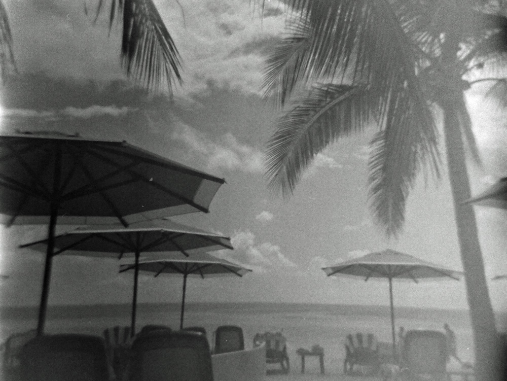 Holga in Paradise 2