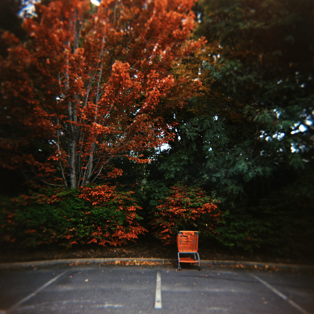 Abandoned Buggy