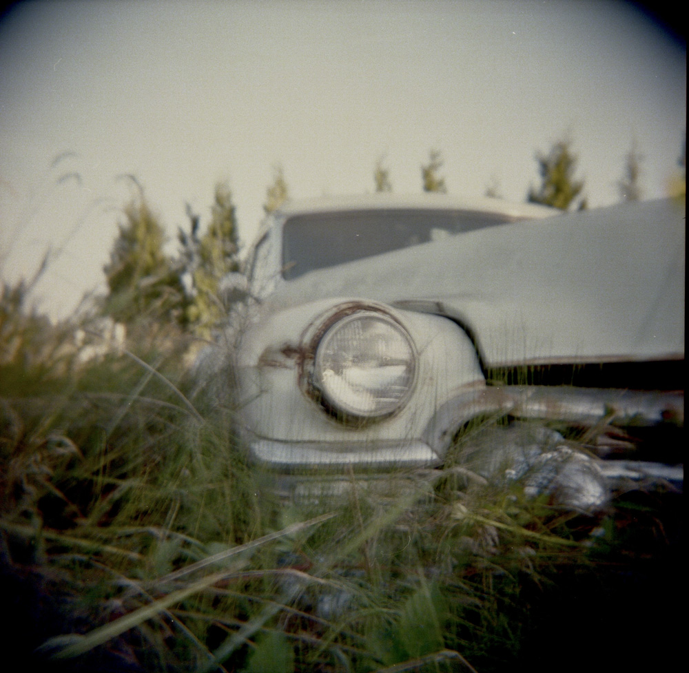 Rusty Car in the Tall Grass