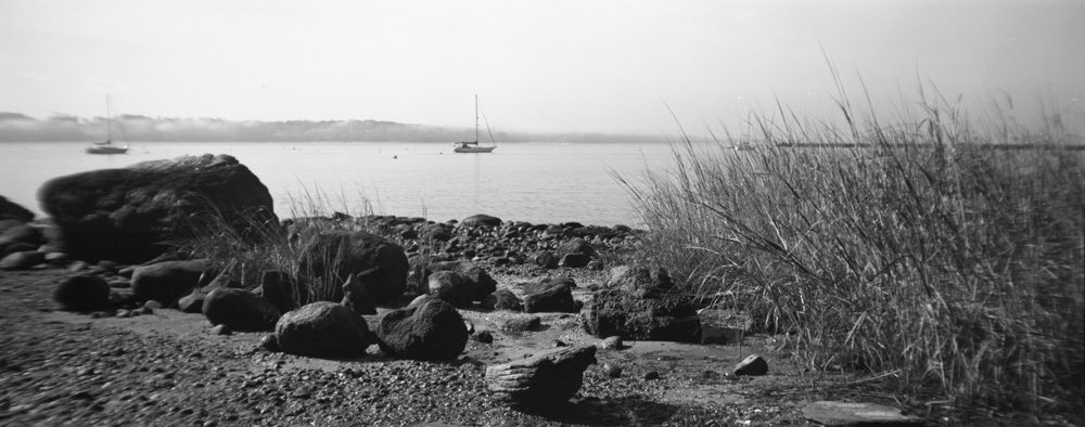 Sailboat in the Bay