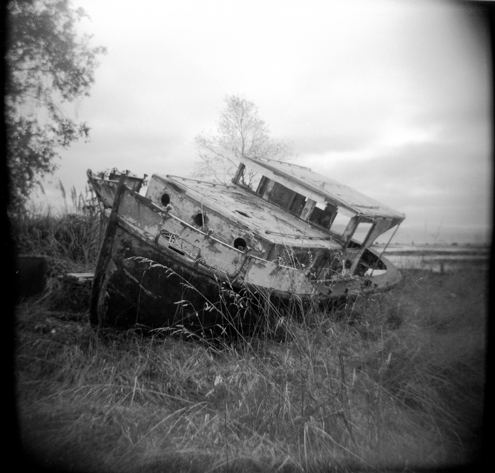 High and dry on Willapa Bay