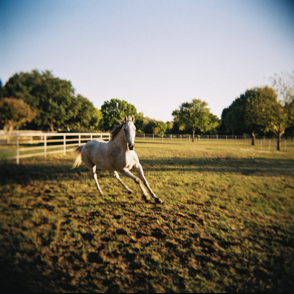 Ivanhoe @ Roman Oaks Ranch