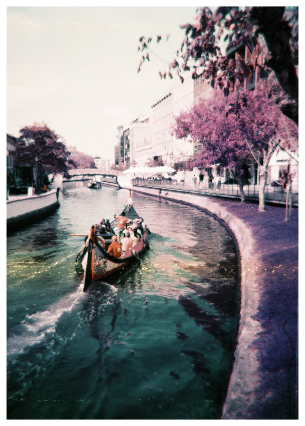 On the street in the Venice of Portugal