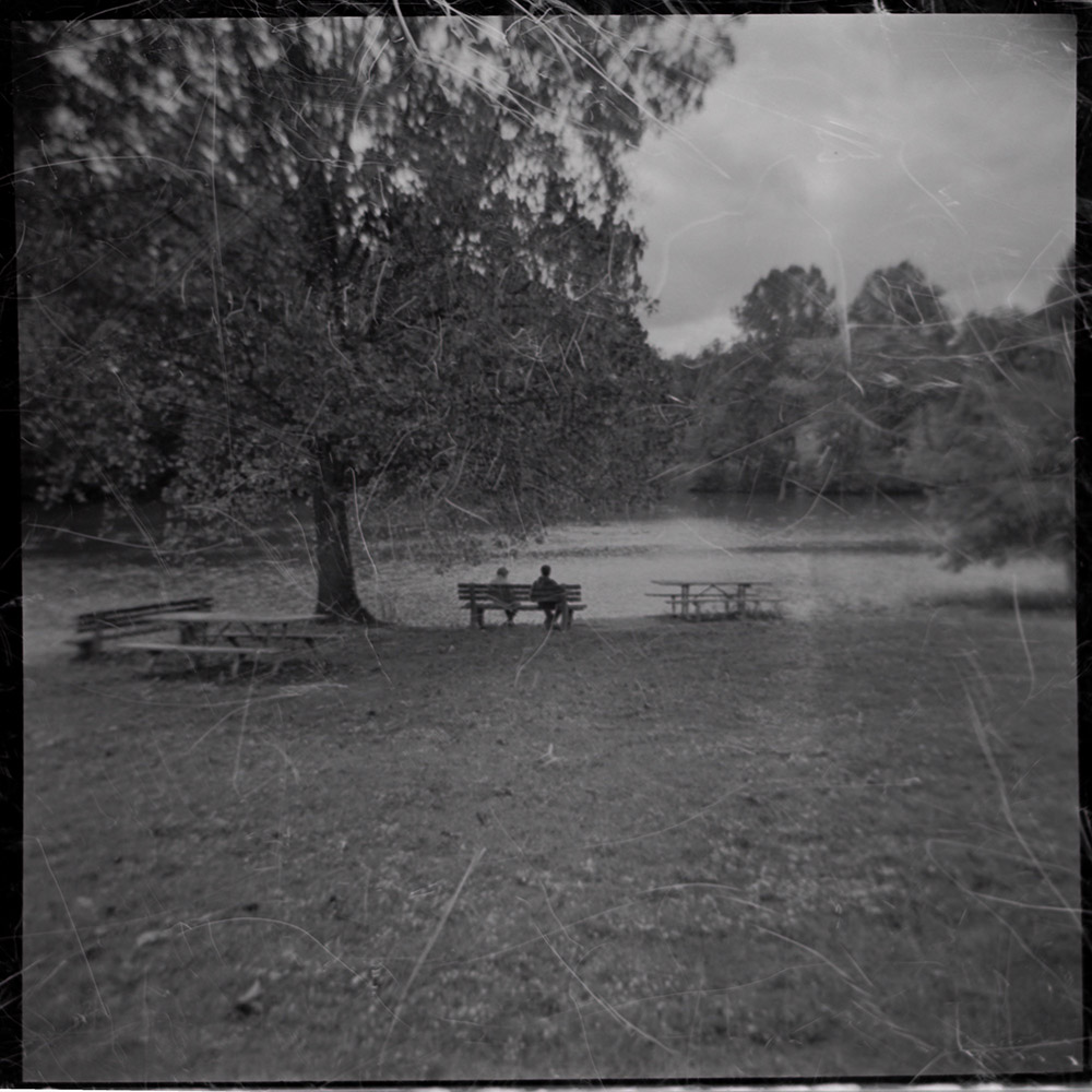 Bench On Pond