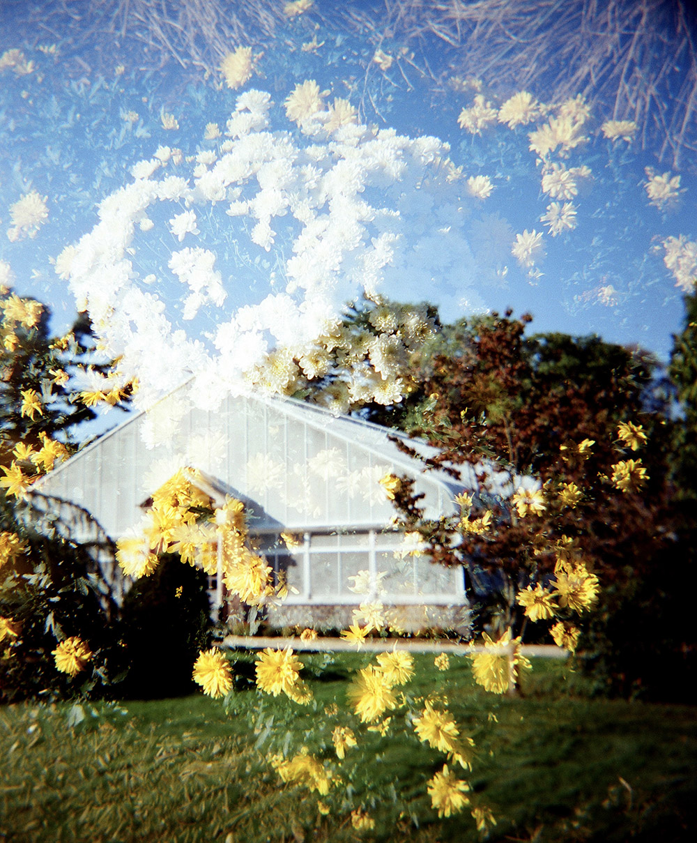 Greenhouse at Planting Fields