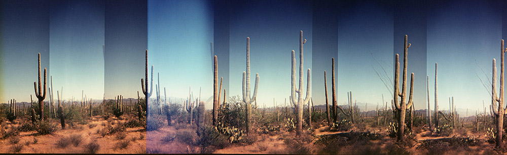 The Sonoran Desert