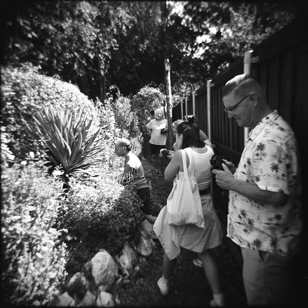 Butterfly Garden Holga Walk