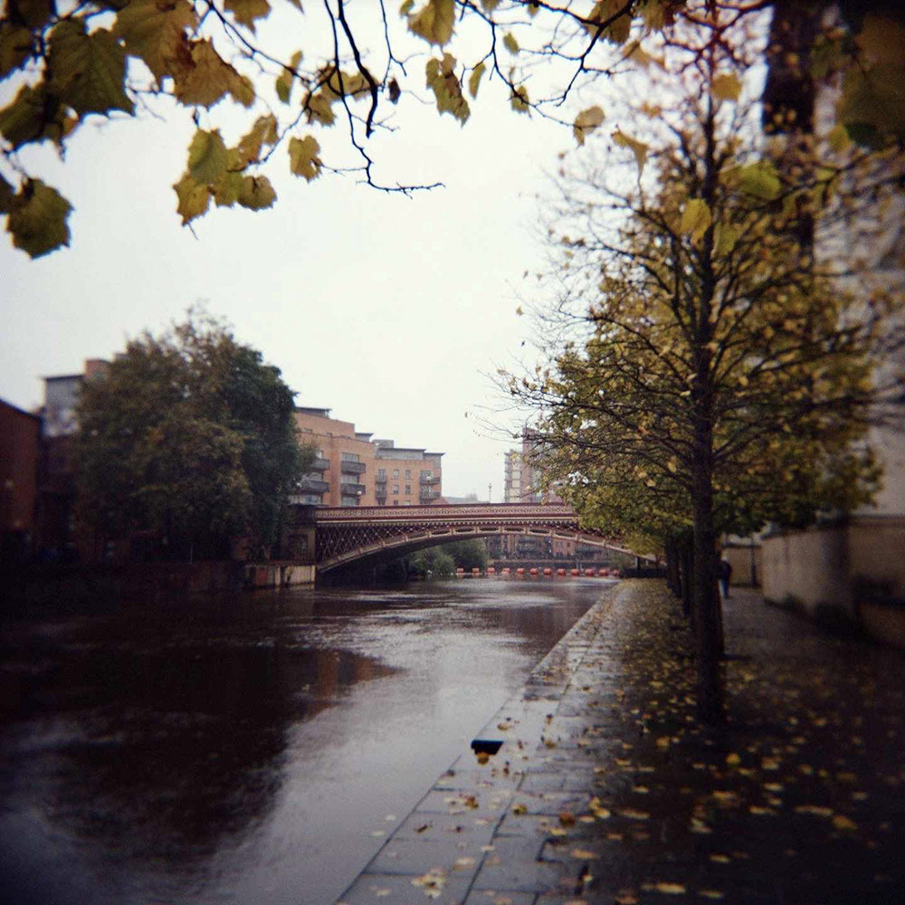 Whispers of Autumn: Rain-kissed River Aire