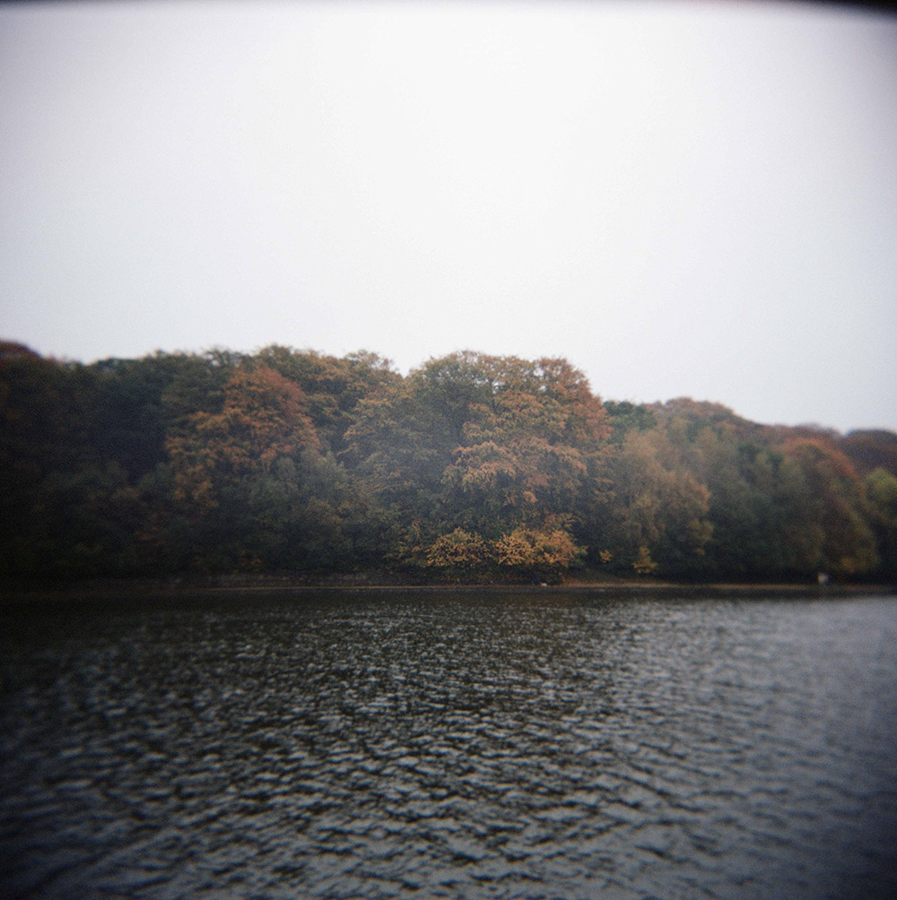 Whispers of Autumn: Muted Reflections at Roundhay Park