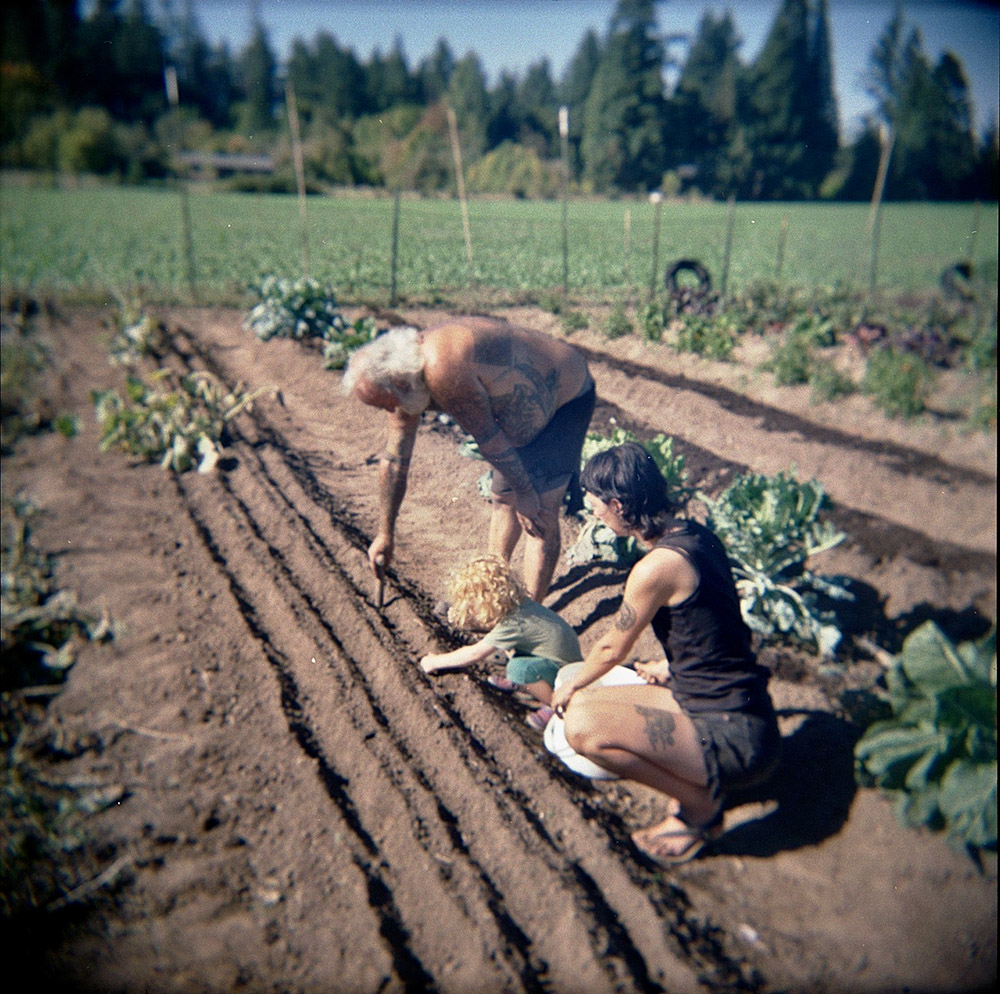 Planting Garlic