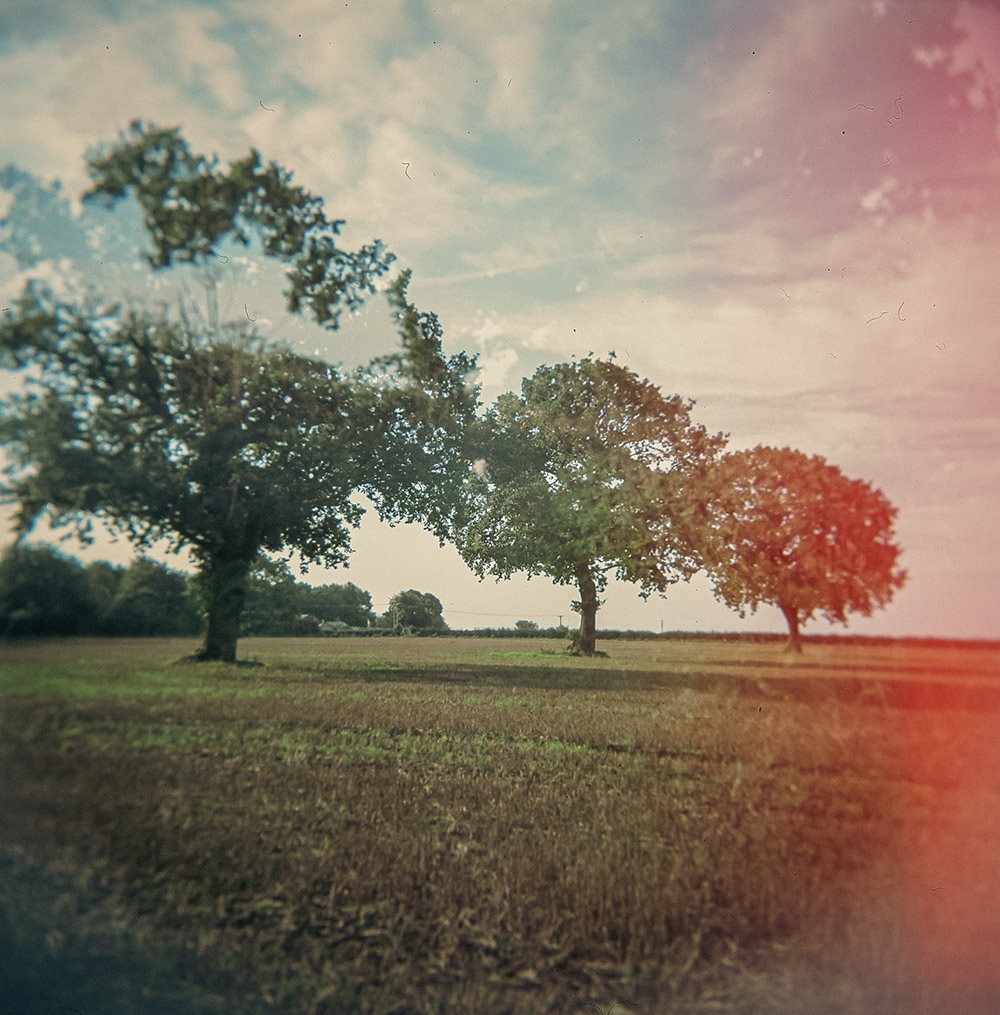 Three Trees Double Exposure