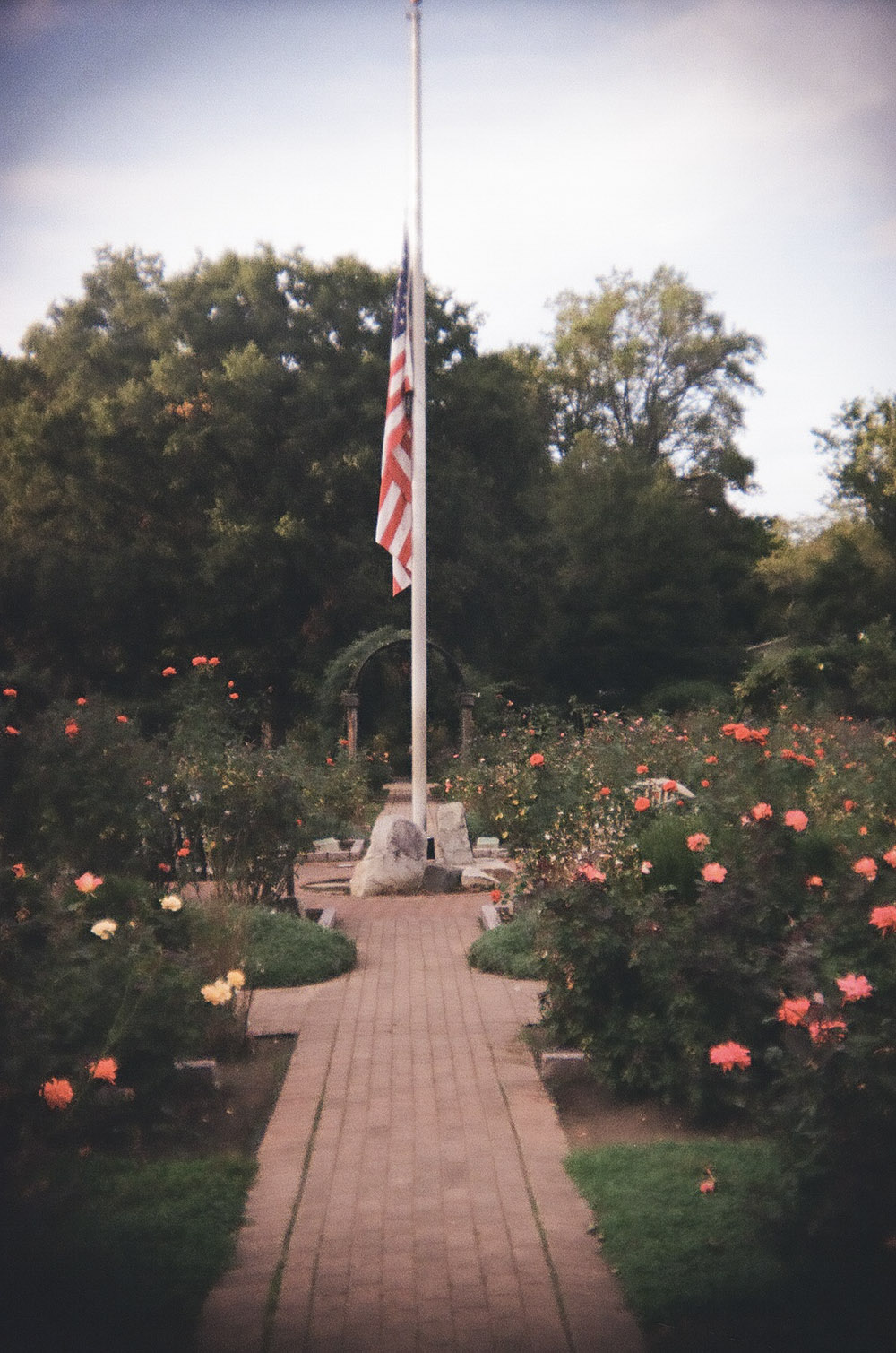 Flag in the Flower Garden