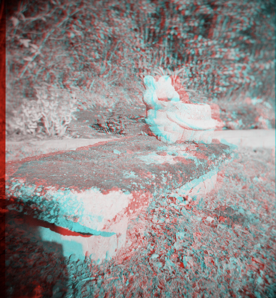 Turtle Anaglyph 3D