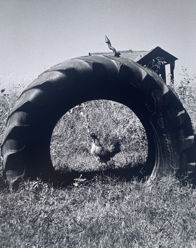 Through the Hen Hole