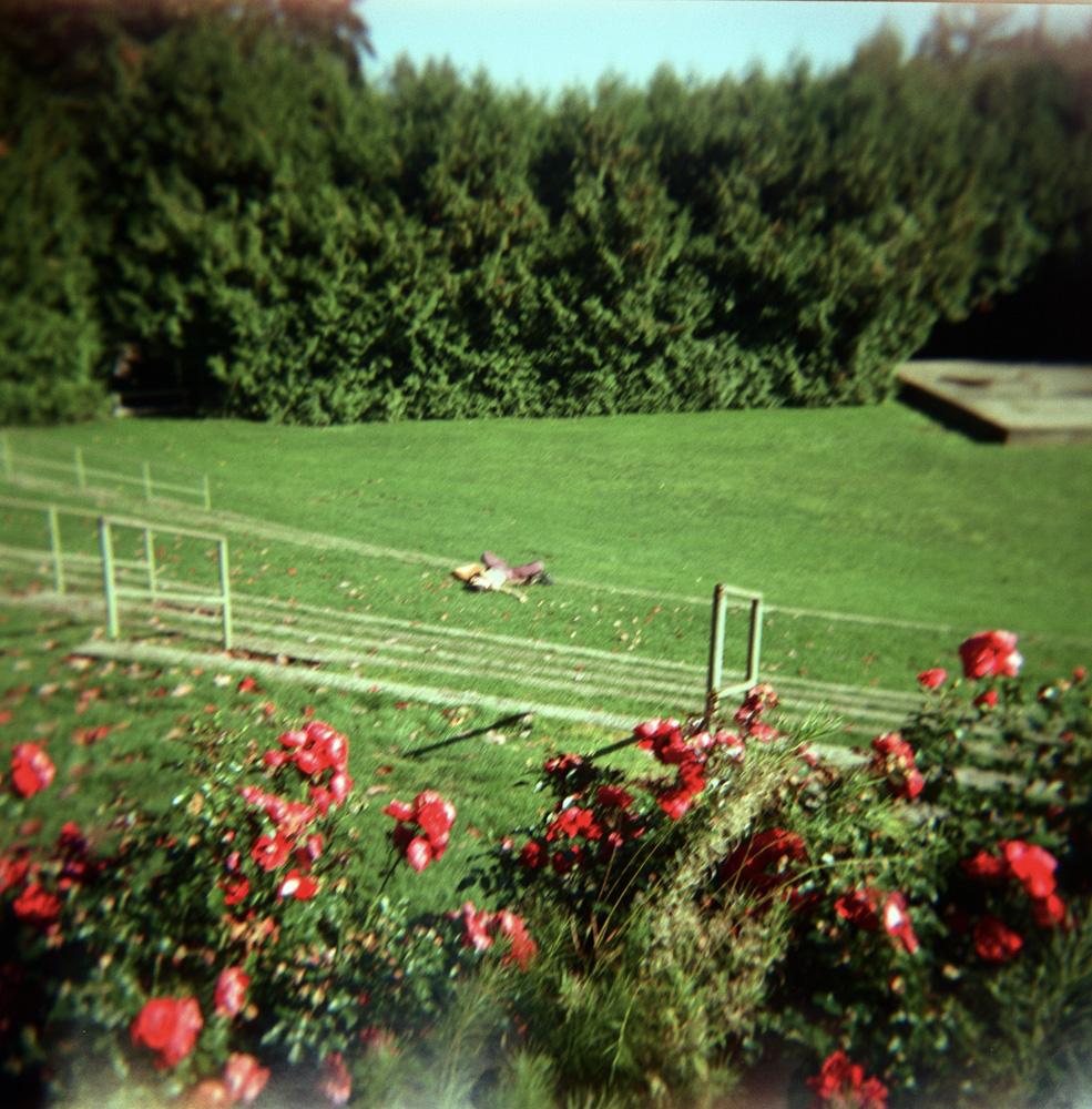 Naps in the Rose Garden