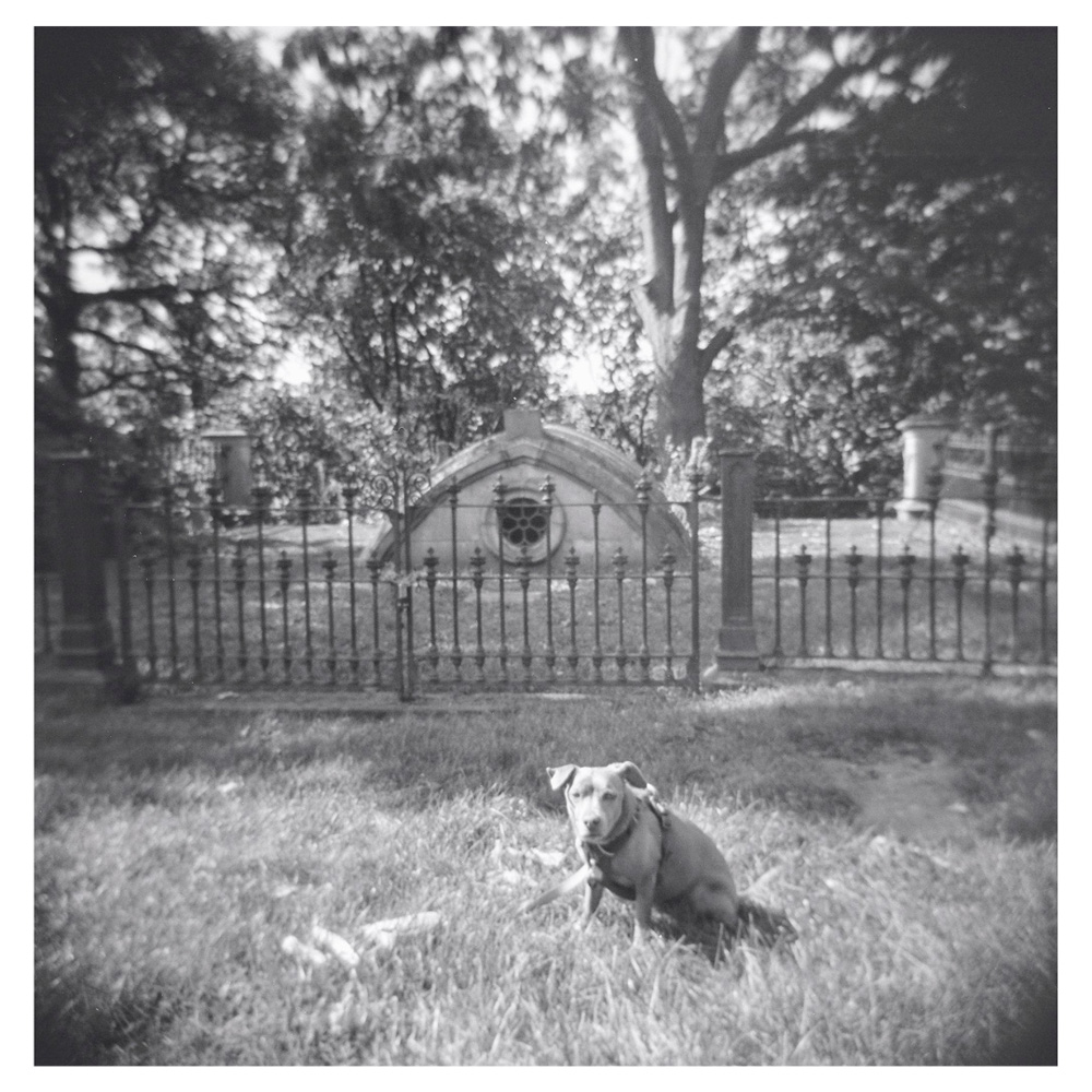 Stroll in the cemetery 