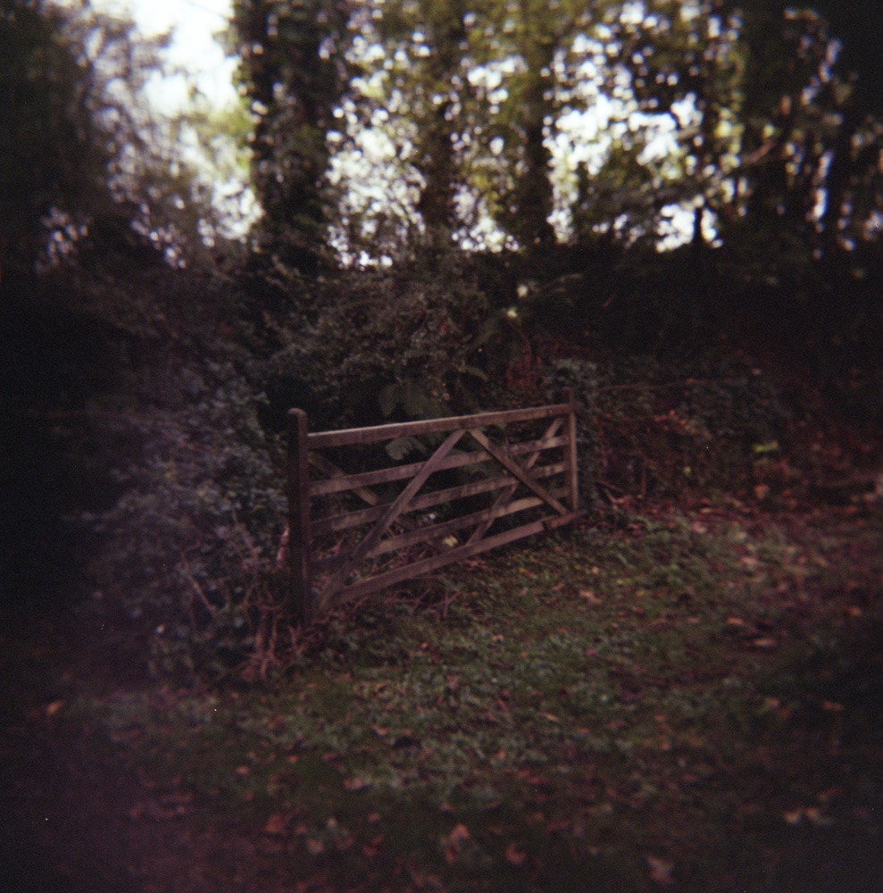 Field Gate