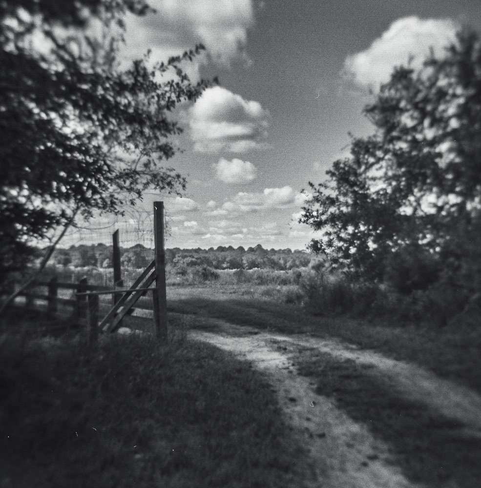 pathway to the spray field 