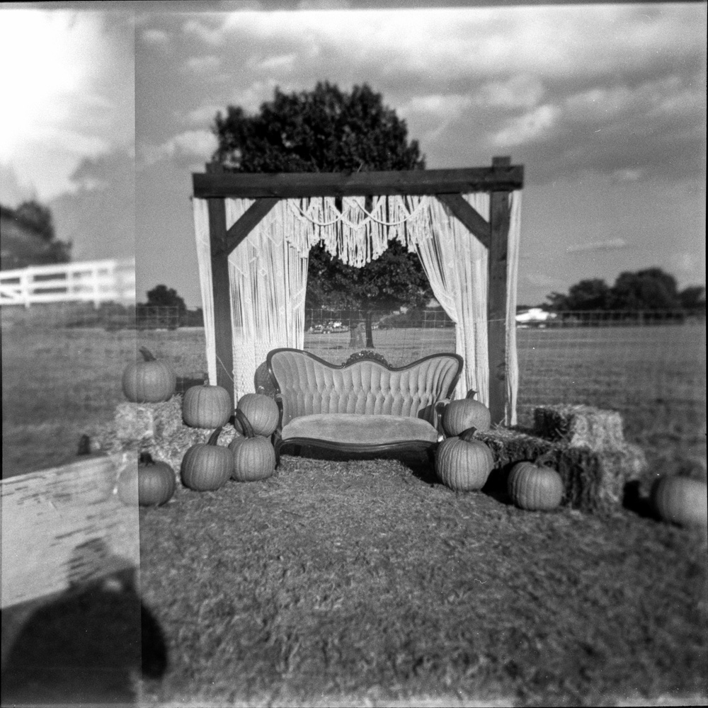 Come and sit with the pumkins