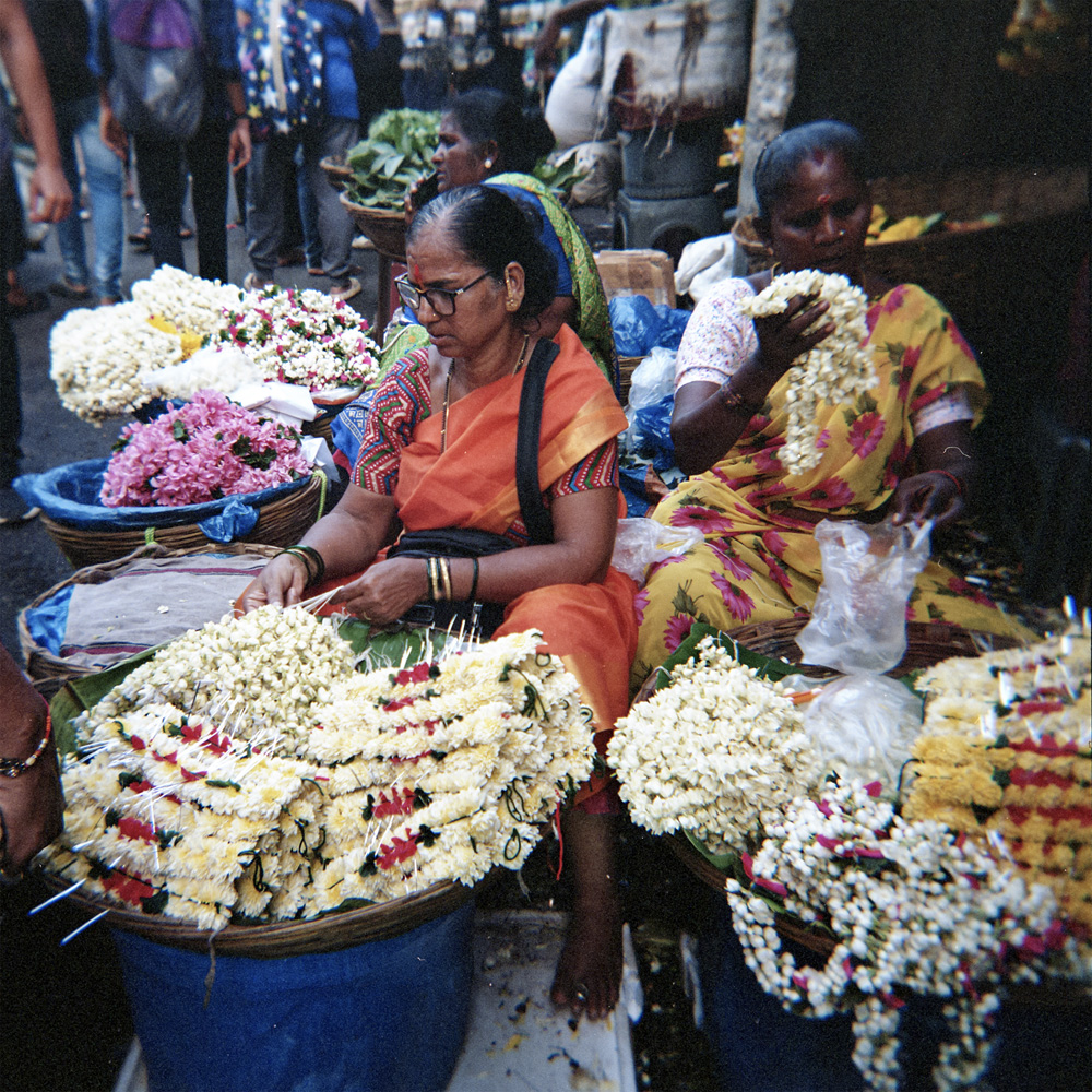 The Flower Matriarchs