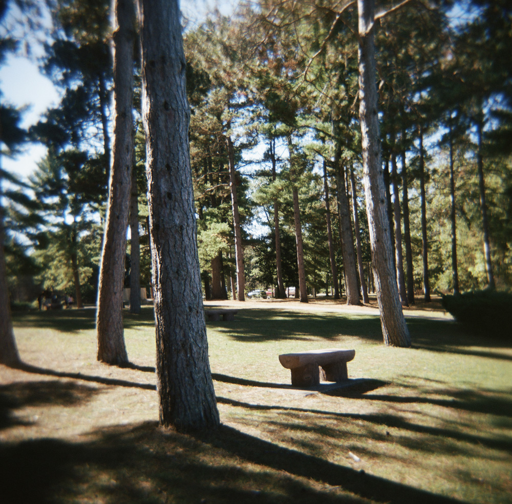 The Lonely Bench