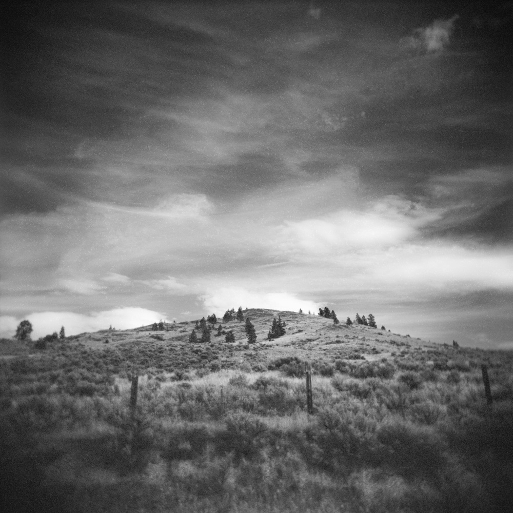 Dark Grassland Skies