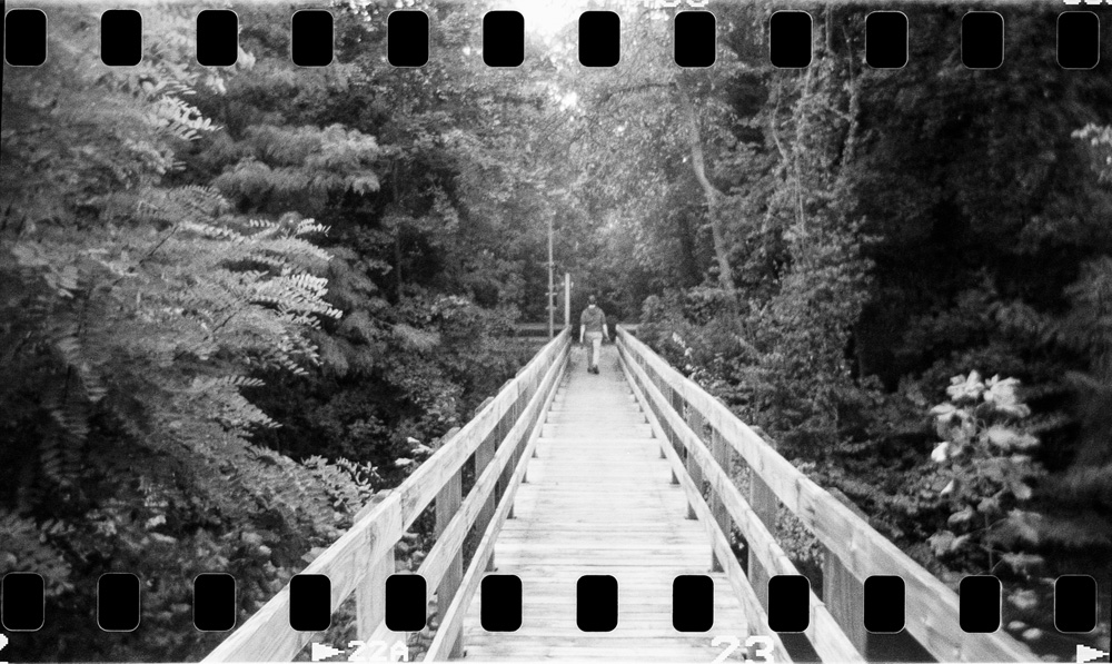 Stepping Into the Silence