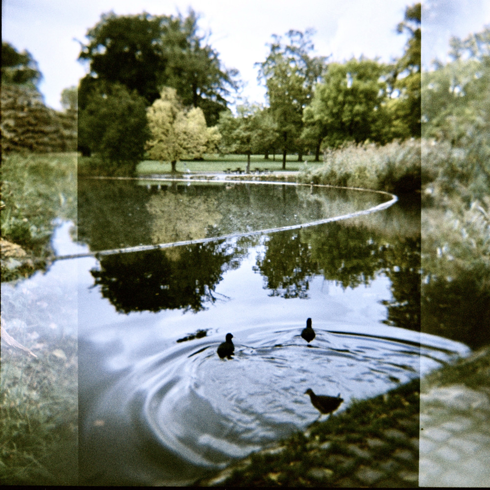 Half the perfect Circles