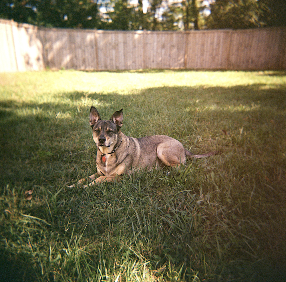 Take another one, I had my eyes closed in that one!