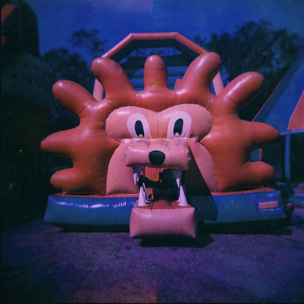 You're gonna hear me roar