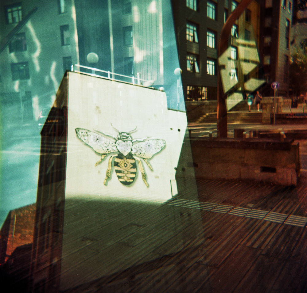 Manchester Bee