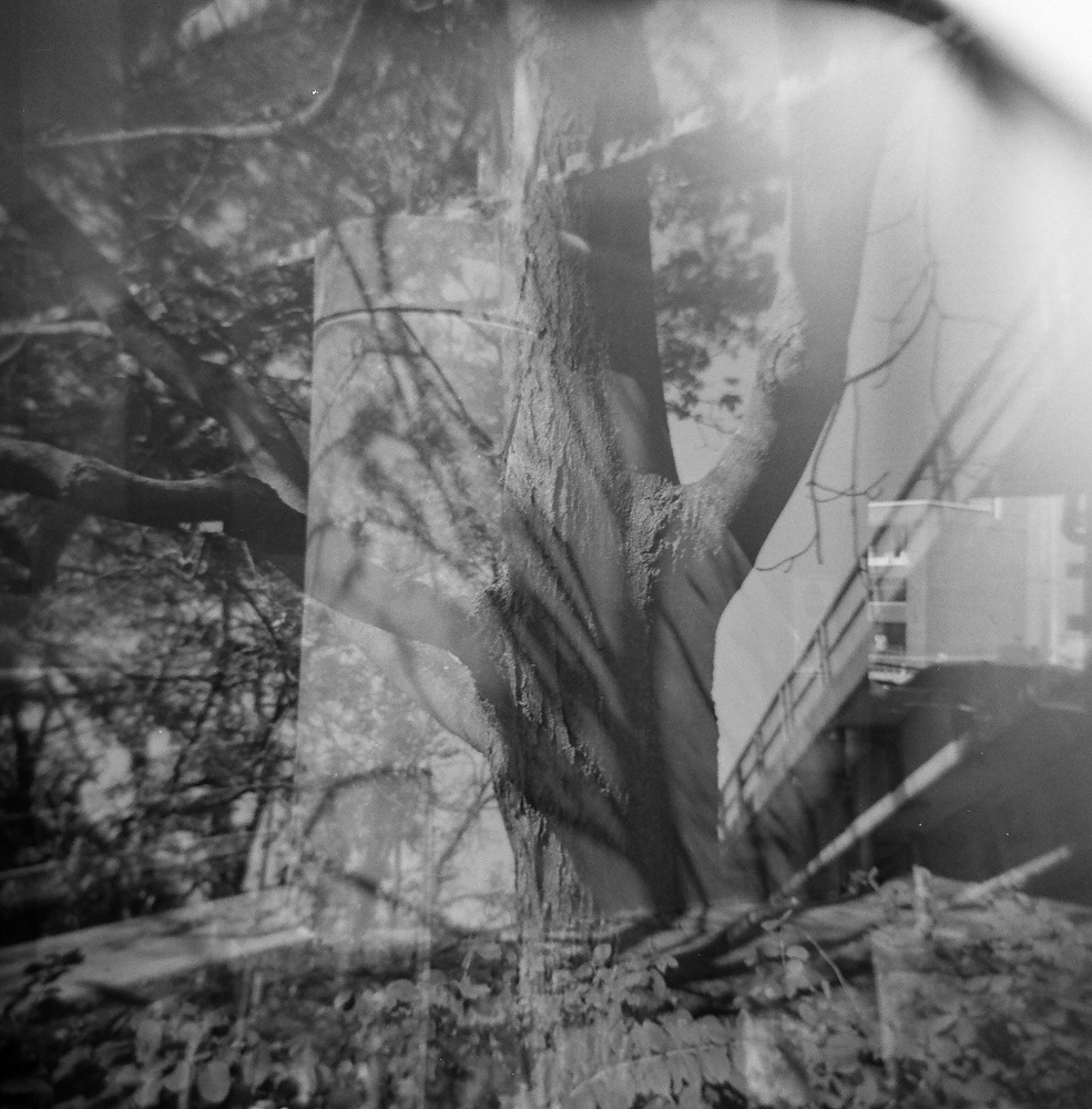 Double Exposure Park