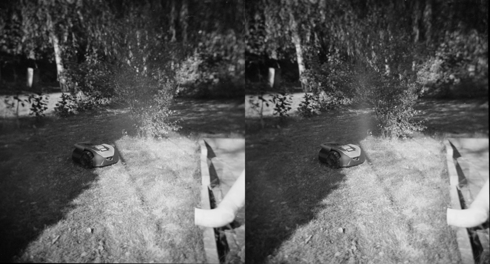 Yardwork Cross-Eyed 3D